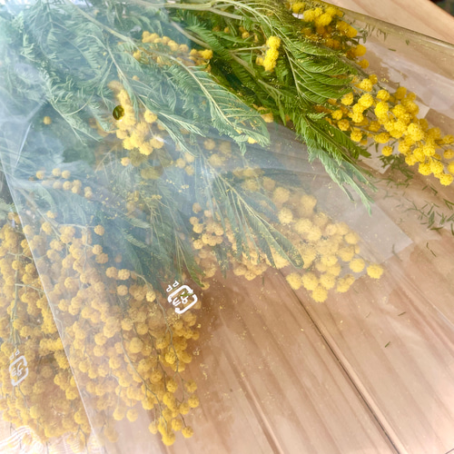 6.ミモザブーケスワッグ 3/16(日) までご予約受付中】ミモザのスワッグS | ichirin's STORE