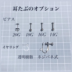 薔薇のチェーンピアス / 病みかわいい ゴシック メンヘラ 量産型 軟骨 イヤリング イヤーカフ メンズ 14G 4枚目の画像