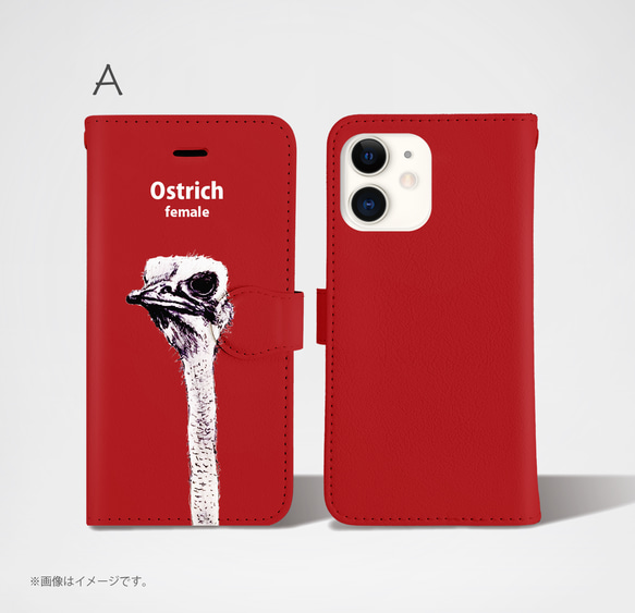 原創手帳型iPhone手機殼「鴕鳥_Ostrich」 第2張的照片