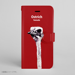Original手帳型iPhoneケース「ダチョウ_Ostrich」 1枚目の画像
