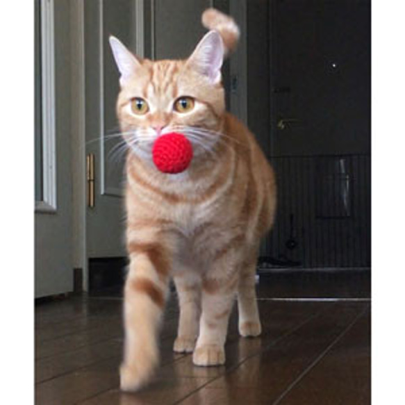 【2月22日限定】猫の日SALE 毛糸ボール 5枚目の画像
