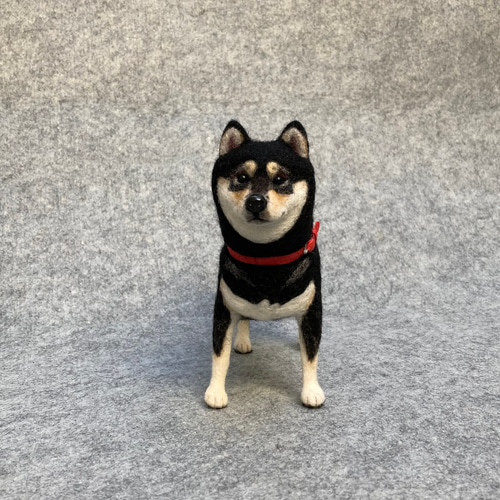 羊毛フェルト☆黒柴☆ハンドメイド 羊毛フェルト 旅柴 豆柴 黒柴 柴犬 犬 ハンドメイド 〜ともじろう〜