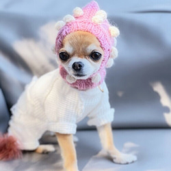 ハンドメイド オーダー受付ページ ♡ニット帽 チワワ パネル♡ チワワ