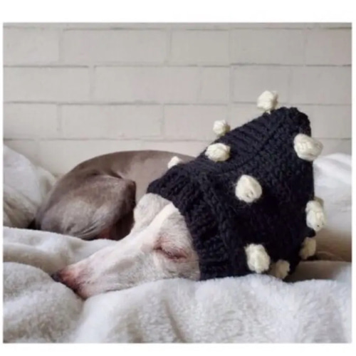 ☆子犬わたあめ用☆ニット帽＋しっぽサロペット＋たっち靴＋α☆4点set☆