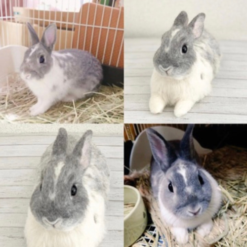 オーダーメイド】【Mサイズ】羊毛フェルト うさぎ ペット うちの