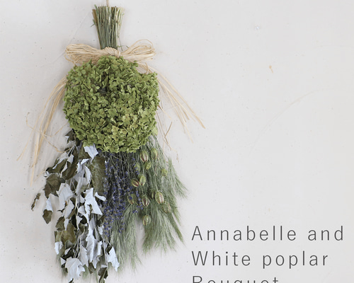 Lサイズ】アナベルとホワイトポプラのブーケ ＊人気のアナベルと富良野