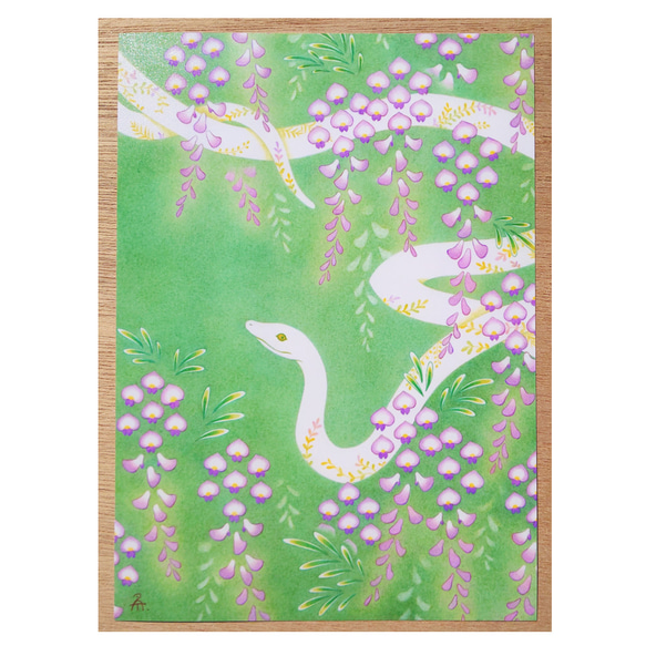 白蛇の絵2L絹目写真：【藤花白蛇】 絵画 梅和えみ 通販 8653040