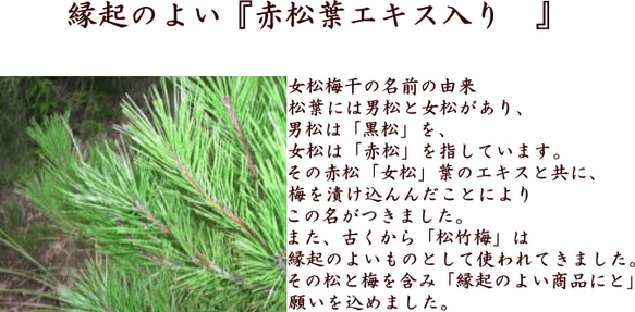 【送料無料キャンペーン中(^^)/】紀州南高梅　女松梅干　７００ｇ（容器）　塩分約１４％　［当店人気Ｎｏ.１］ 3枚目の画像