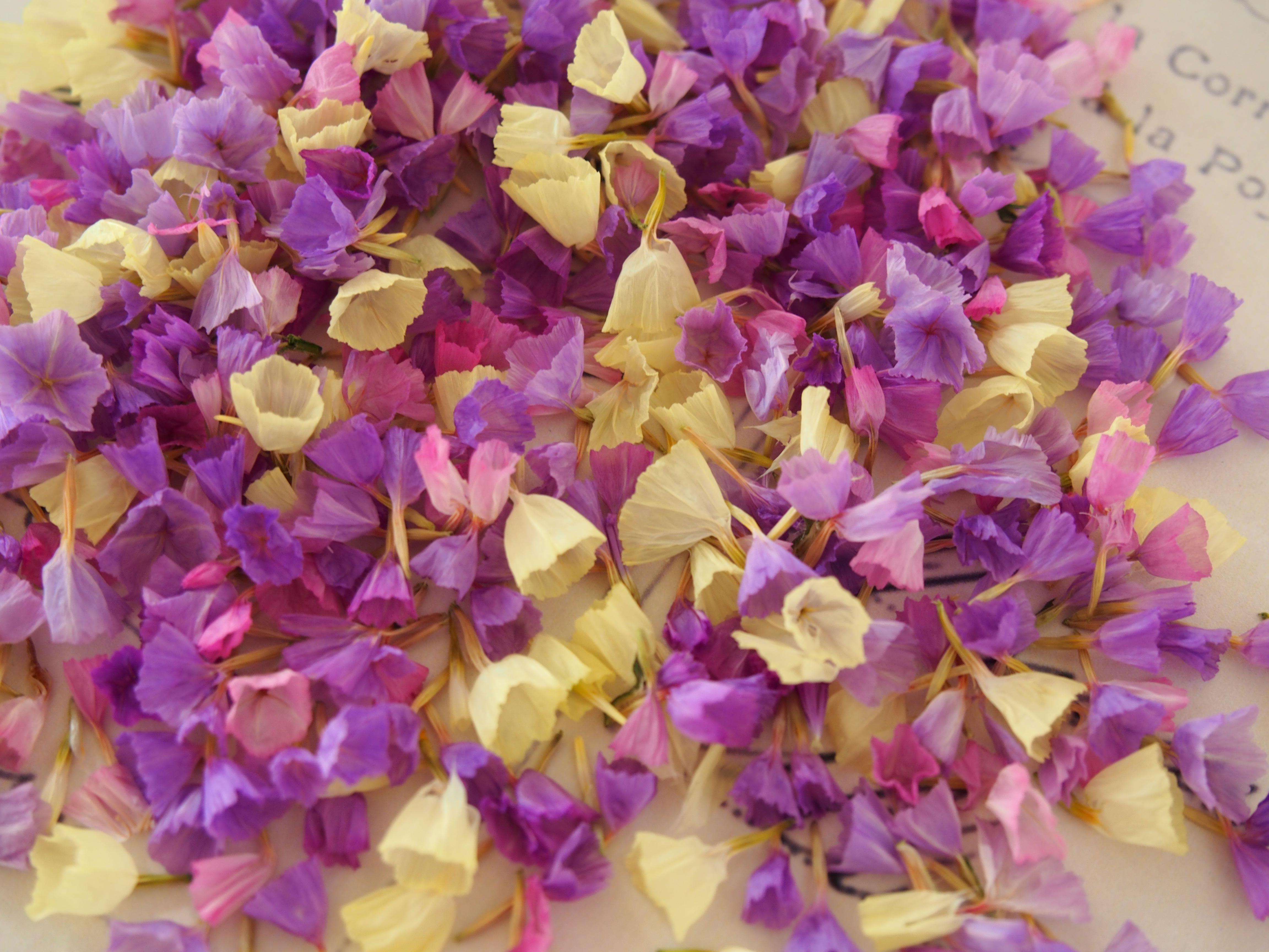 レジン　ヘアゴム　花モチーフと紫陽花　ピンク◡̈♥︎ スターチス