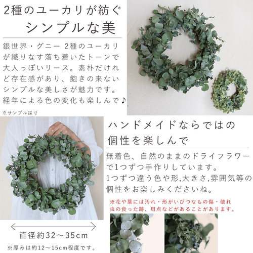 ドライフラワー★プロテアナナ&ユーカリニッコリ　大型リース★シンカルファ　存在感 standard_dryflower_011_005_120