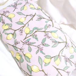 限定価格。無農薬米ぬか玄米カイロラスト1点 その他素材 michelhappy