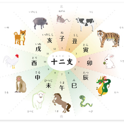 下敷き 四季＆干支 表  A4サイズ 十二支 お正月 3枚目の画像