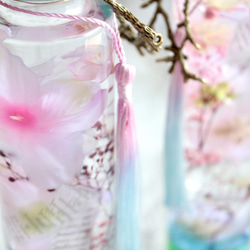【桜のハーバリウム春】桜【ピンクブルーのグラデーション】 10枚目の画像