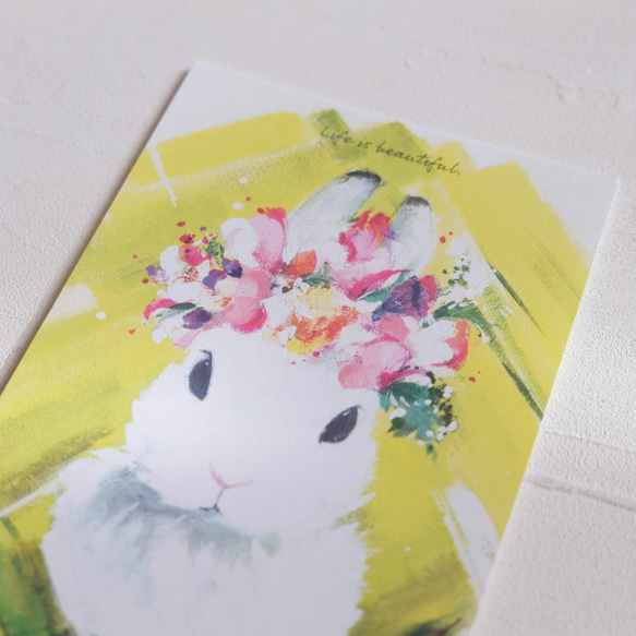 明信片【K：帶花冠的小兔子】_3張卡組★自由組合★ 第4張的照片
