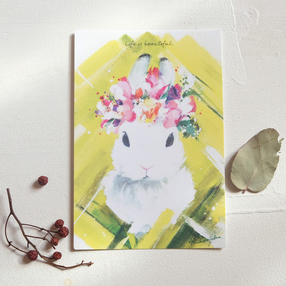 明信片【K：帶花冠的小兔子】_3張卡組★自由組合★ 第2張的照片