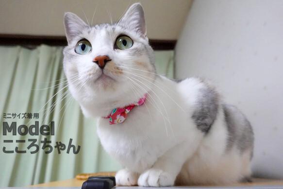 和服風～櫻花～*日式貓項圈 第6張的照片
