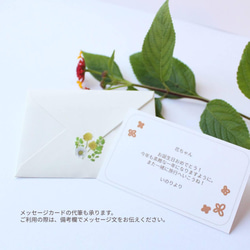 【再販】桜のピアス/イヤリング(限定色 サーモンピンク) 6枚目の画像