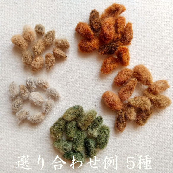  第1張的照片