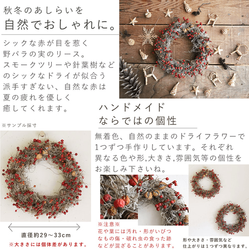 ドライフラワー】野バラの実のリース ◇大人気の赤い野バラの実