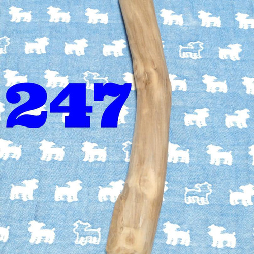 236.犬のおもちゃ犬用、かじり木梨の木、あまがみ対策、歯固め