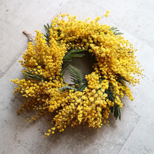 ミモザリース 20〜25㎝ 生花ミモザからドライフラワーになります
