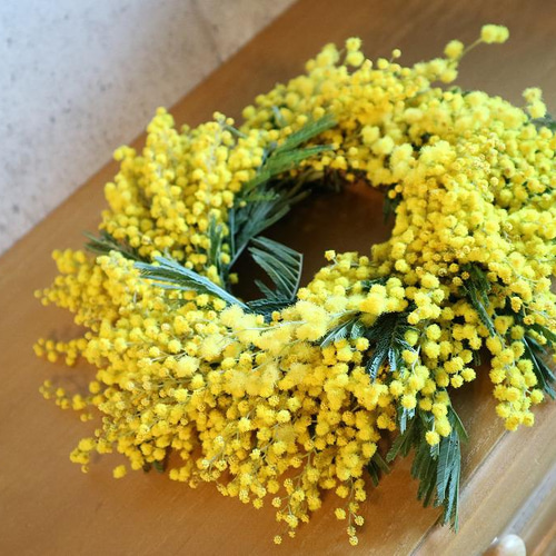 ミモザリース 20〜25㎝ 生花ミモザからドライフラワーになります