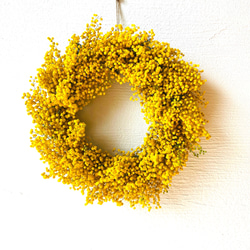 紫陽花アナベルのリース♪〜Lサイズ〜 リース Dans les bois 通販