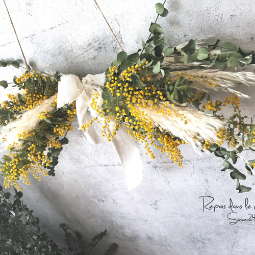 ミモザ×パンパスグラスのドライフラワーガーランド//ハンギング壁掛け