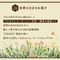 【 Raw Honey 】スウィーティハニー/みかん蜜〈Gift size_70g〉 5枚目の画像