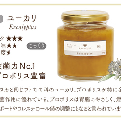 【 Raw Honey 】ユーカリハニー〈S size_140g〉 3枚目の画像