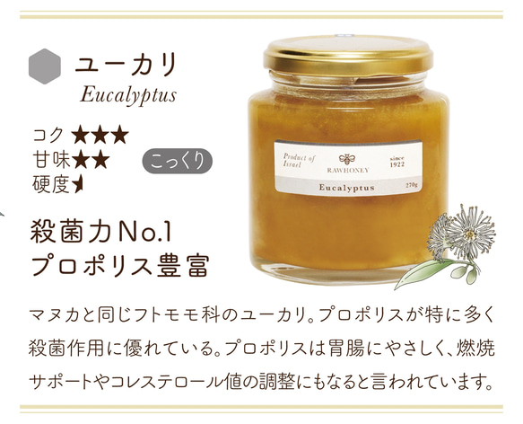 【 Raw Honey 】ユーカリハニー〈S size_140g〉 3枚目の画像