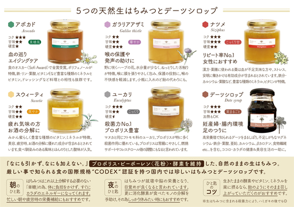 【 Raw Honey 】ガラリア アザミハニー〈M size_270g〉 4枚目の画像