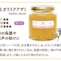【 Raw Honey 】ガラリア アザミハニー〈M size_270g〉 3枚目の画像