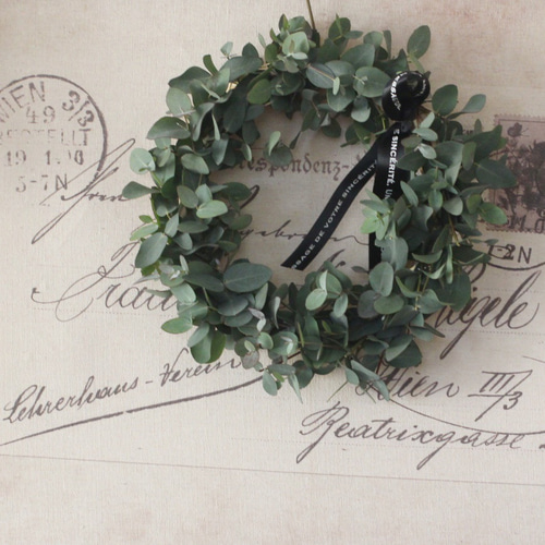 ドライのユーカリリース ドライフラワー petit chocolat 通販