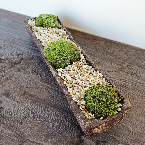 コケを育ててみませんか？苔盆栽 （くらま岩短冊鉢） その他インテリア