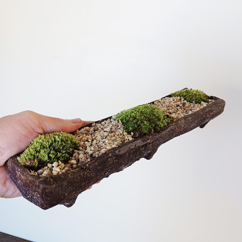コケを育ててみませんか？苔盆栽 （くらま岩短冊鉢） その他インテリア