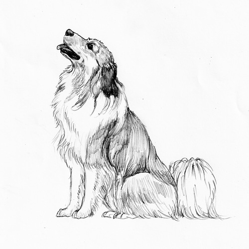 マスミアート陶板画 犬 オーダー額付き マスミアート陶板画 犬 オーダー額付き