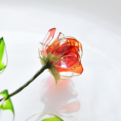 【植物標本 S】薔薇(ばら) -Burnt Orange- 10枚目の画像