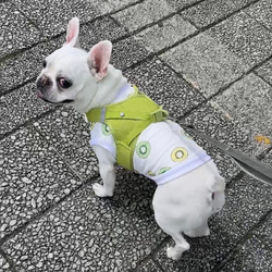 〈犬服〉うちの子ネーム刺繍入りタンクトップ＊キウイ＊ 5枚目の画像