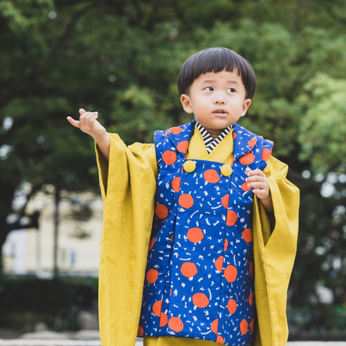 七五三 【 着物 + 被布 】3歳着物 七五三着物 男の子 女の子 七五三 【 着物 + 被布 】3歳着物 七五三着物 男の子 女の子