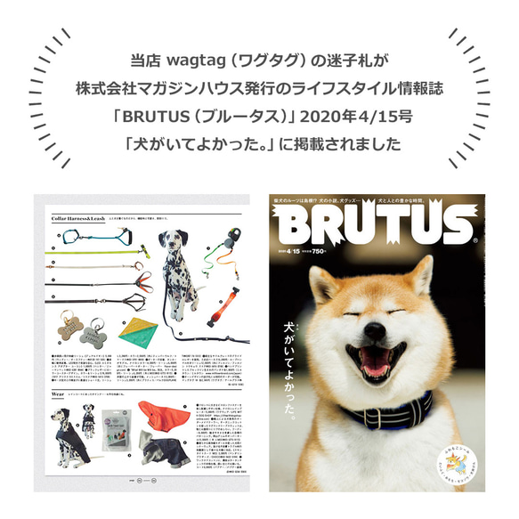 丸形の迷子札【真鍮】犬用 ペット用 ネームプレート ネームタグ ドッグタグ 名札 名前刻印 キーホルダー チャーム 7枚目の画像