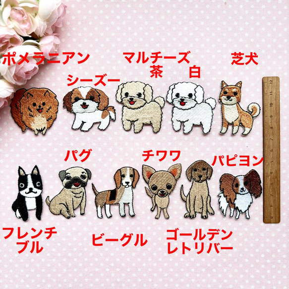 らきお様ご確認用♡ 犬用名札 ブルドッグ 【楽天市場】犬 迷子札