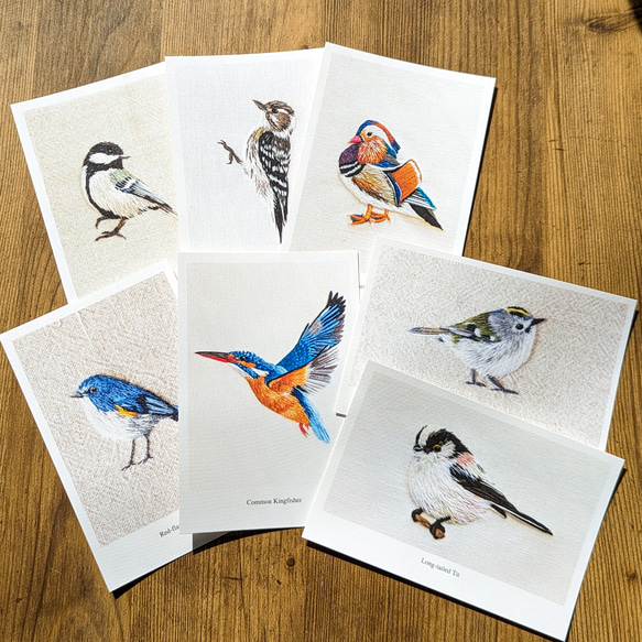 お好きな7枚を選べる野鳥ポストカード 1枚目の画像