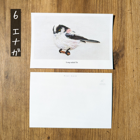 お好きな7枚を選べる野鳥ポストカード 7枚目の画像
