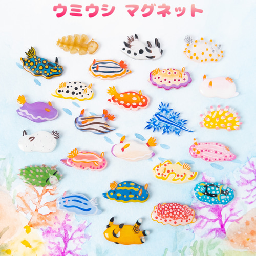 憧れの ウミウシマグネット＊選べる2匹 マグネット 通販 ねぎねぎ その他