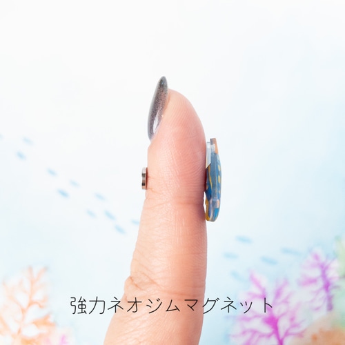 ウミウシマグネット＊選べる2匹 マグネット ねぎねぎ 通販