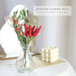 interior/mini swag brightnatural dryflowers trial　ドライフラワー 2枚目の画像