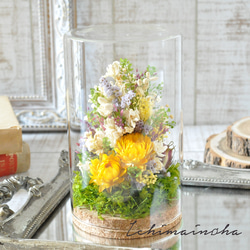 ✽文字入れ可能✽自然を感じるボタニカルグラス 【～yellow～ L size】 1枚目の画像