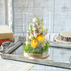 ✽文字入れ可能✽自然を感じるボタニカルグラス 【～yellow～ L size】 2枚目の画像