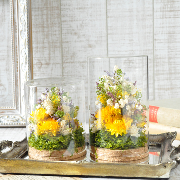 ✽文字入れ可能✽自然を感じるボタニカルグラス 【～yellow～ L size】 6枚目の画像